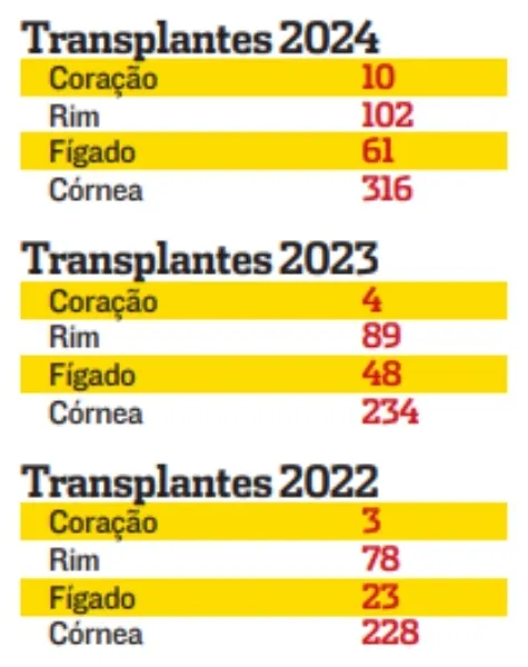 Imagem ilustrativa da imagem ES bate recorde no transplante de órgãos