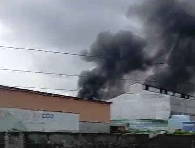 Imagem ilustrativa da imagem Incêndio atinge empresa de grama sintética no Cabo na manhã desta quinta