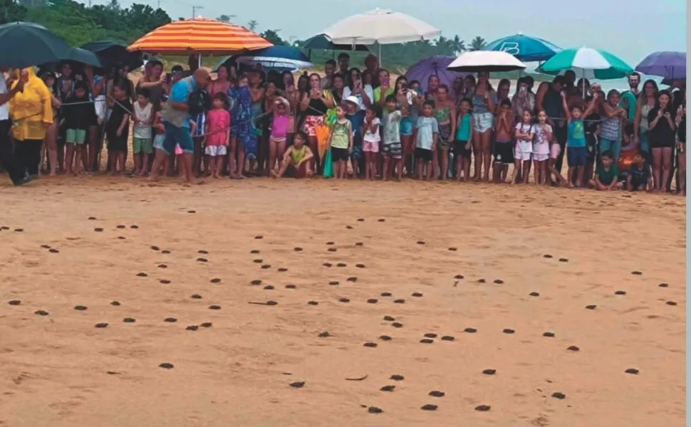 Imagem ilustrativa da imagem Mar azul, lazer e badalação nas praias de Anchieta