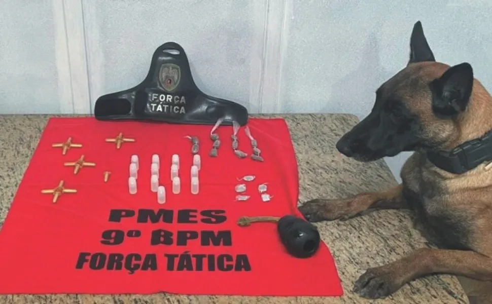 Imagem ilustrativa da imagem Cão herói da polícia de Cachoeiro fica doente e antecipa aposentadoria