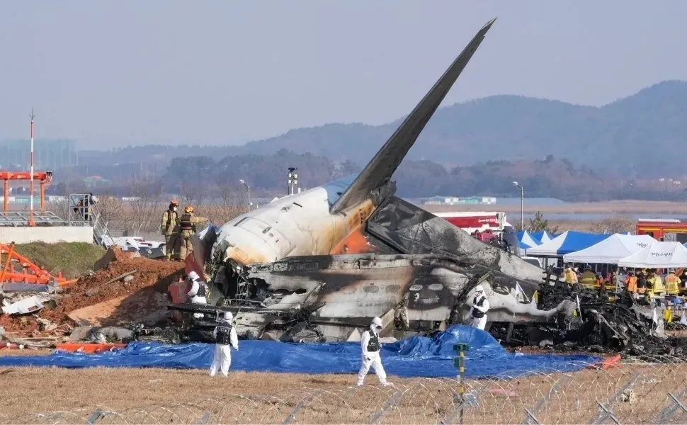 Imagem ilustrativa da imagem Coreia do Sul: relatório confirma colisão de pássaros com motor de avião