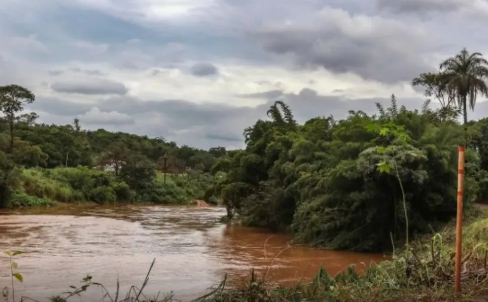 Imagem ilustrativa da imagem Estudo detecta presença de metais na urina de crianças em Brumadinho