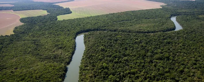 Imagem ilustrativa da imagem Governador do MT veta PL que convertia terras da Amazônia em Cerrado e possibilitava desmatamento