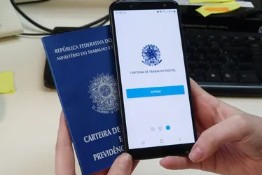 Imagem ilustrativa da imagem Agronegócio cria 533 mil empregos e bate recorde