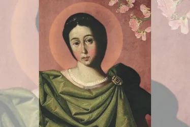 Imagem ilustrativa da imagem Arquidiocese se prepara para receber novo arcebispo
