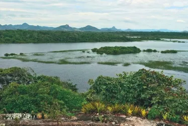 Imagem ilustrativa da imagem Caçador é preso no Parque Paulo César Vinha, em Guarapari