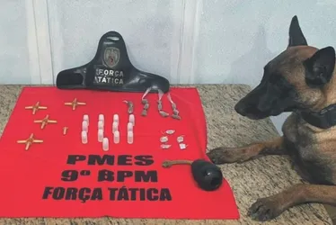 Imagem ilustrativa da imagem Cão herói da polícia de Cachoeiro fica doente e antecipa aposentadoria