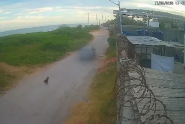 Imagem ilustrativa da imagem Casal que aparece em vídeo abandonando cachorro no ES é indiciado pela polícia