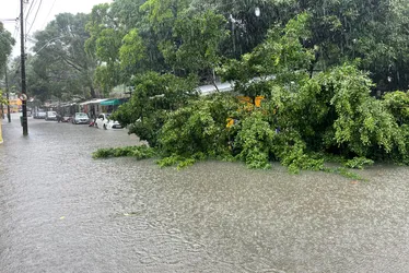 Imagem ilustrativa da imagem Chuvas voltam a castigar; Recife em Alerta Máximo; Inmet emite Alerta Vermelho