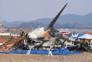 Imagem ilustrativa da imagem Coreia do Sul: relatório confirma colisão de pássaros com motor de avião