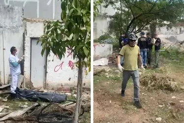 Imagem ilustrativa da imagem Corpo de mulher é encontrado com marcas de violência em terreno baldio da Madalena