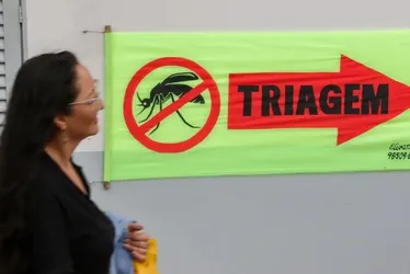 Imagem ilustrativa da imagem Entenda o que são sorotipos da dengue e por que o tipo 3 preocupa