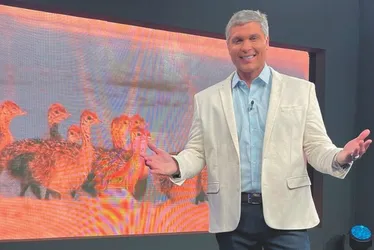 Imagem ilustrativa da imagem Estreia de sucesso: Joel Datena e Cynthia Martins celebram parceria com TV Tribuna