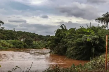 Imagem ilustrativa da imagem Estudo detecta presença de metais na urina de crianças em Brumadinho