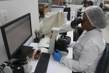 Imagem ilustrativa da imagem Exames para detectar Alzheimer antes dos 60