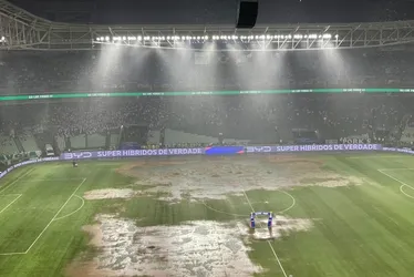 Imagem ilustrativa da imagem Granizo machuca jogadores e campo fica irreconhecível antes de Palmeiras x Corinthians
