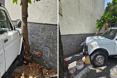 Imagem ilustrativa da imagem Homem furta carro e acaba detido após perder o controle e bater em árvore