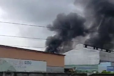 Imagem ilustrativa da imagem Incêndio atinge empresa de grama sintética no Cabo na manhã desta quinta
