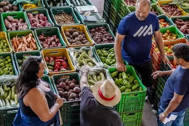 Imagem ilustrativa da imagem Inflação dos alimentos é explicada por menos oferta, diz IBGE