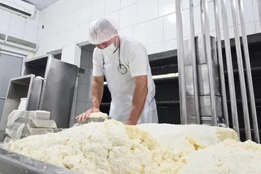 Imagem ilustrativa da imagem Interior de Pernambuco ganha rota do queijo artesanal com lançamento em Garanhuns