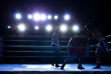 Imagem ilustrativa da imagem MMA: Vitória vai receber etapa do HCC Combat em maio