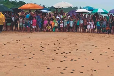 Imagem ilustrativa da imagem Mar azul, lazer e badalação nas praias de Anchieta