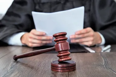 Imagem ilustrativa da imagem Justiça determina que ex pague pensão para 5 cães