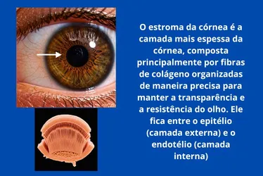Imagem ilustrativa da imagem Pioneira em tatuagem ocular no Nordeste devolverá olhar a idoso que a inspirou