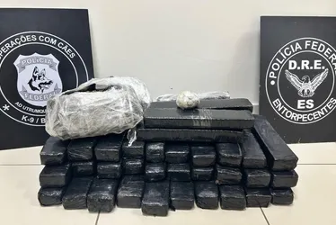 Imagem ilustrativa da imagem Polícia apreende 21 kg de drogas com passageira em ônibus vindo de São Paulo