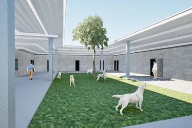 Imagem ilustrativa da imagem Projeto de Bem-Estar Animal vai abrigar 300 cães e gatos em presídio de Viana