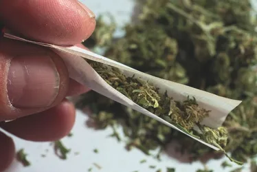 Imagem ilustrativa da imagem Projeto estabelece multa de até R$ 1.518 para quem fumar maconha na rua na Serra