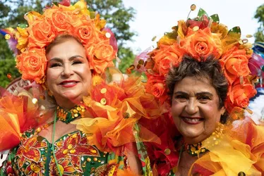 Imagem ilustrativa da imagem Rua da Aurora recebe 26º Aurora dos Carnavais com 25 blocos líricos e homenagens