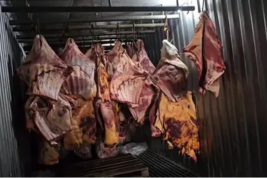 Imagem ilustrativa da imagem Suspeitos de vender carne estragada têm prisão preventiva decretada