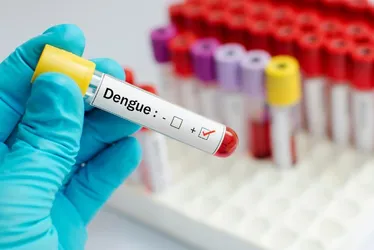 Imagem ilustrativa da imagem Veja o plano de Pernambuco contra arboviroses e epidemias