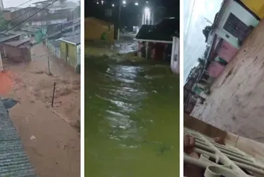 Imagem ilustrativa da imagem Vicência sofre alagamento agravado por córregos entupidos e alerta pouco eficiente
