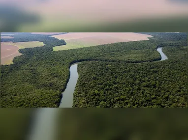 Imagem ilustrativa da imagem Governador do MT veta PL que convertia terras da Amazônia em Cerrado e possibilitava desmatamento