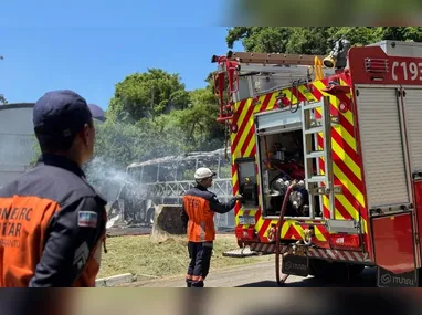 "Na reta final, estudava até 11 horas líquidas por dia", afirmou Mateus Loureiro