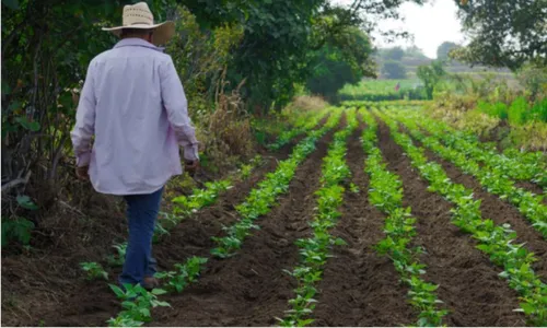 
          Imagem ilustrativa da imagem Acordo histórico quita dívida milionária do Grupo Cruangi e assenta 530 famílias
          