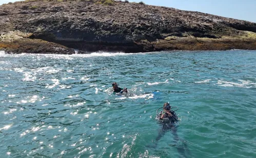 
          Imagem ilustrativa da imagem Baía de Vitória tem 20 ilhas liberadas para visitação
          