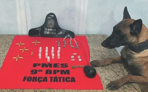 
          Imagem ilustrativa da imagem Cão herói da polícia de Cachoeiro fica doente e antecipa aposentadoria
          
