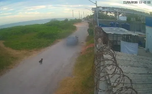 
          Imagem ilustrativa da imagem Casal que aparece em vídeo abandonando cachorro no ES é indiciado pela polícia
          