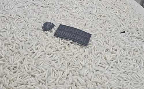 
          Imagem ilustrativa da imagem Guarda Municipal apreende droga avaliada em R$ 40 mil em Cariacica; homem é preso
          