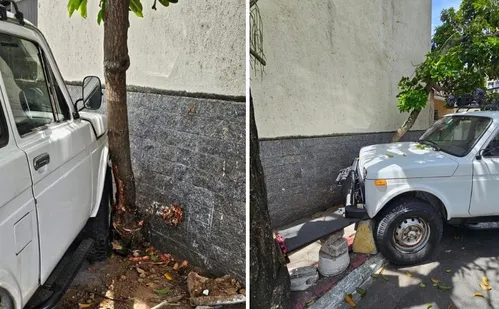 
          Imagem ilustrativa da imagem Homem furta carro e acaba detido após perder o controle e bater em árvore
          