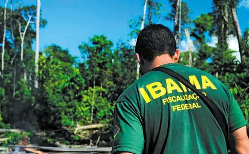 
          Imagem ilustrativa da imagem Ibama abre inscrições para concurso público
          