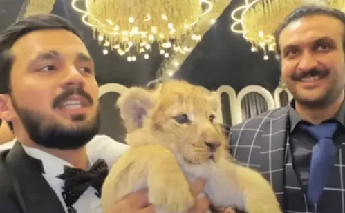 
          Imagem ilustrativa da imagem Influenciador é condenado a pena inusitada por ganhar filhote de leão
          