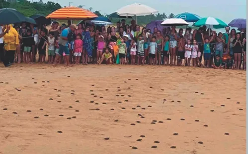 
          Imagem ilustrativa da imagem Mar azul, lazer e badalação nas praias de Anchieta
          