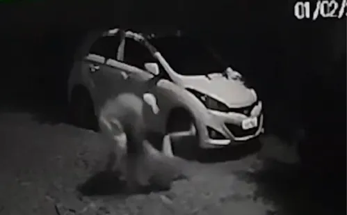 
          Imagem ilustrativa da imagem Mulher é espancada com bebê no colo no Noroeste do ES
          