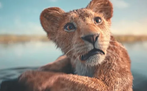 
          Imagem ilustrativa da imagem Novo drama estrelado por Tom Hanks nos cinemas
          