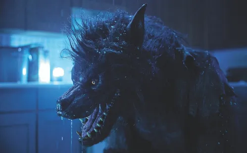 
          Imagem ilustrativa da imagem Novo drama estrelado por Tom Hanks nos cinemas
          