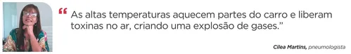 
          Imagem ilustrativa da imagem Onda de calor: alerta para risco de entrar em carro quente
          